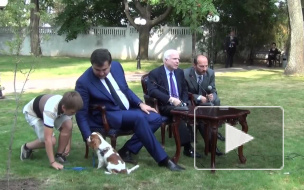 Михаил Саакашвили полюбил собаку на глазах у Джона Маккейна