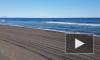 Власти Камчатки показали "совершенно чистый" Халактырский пляж