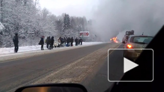 Видео: На трассе Вологда – Череповец горел школьный автобус