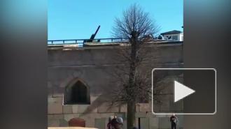 Видео: участник запуска корабля "Восток-1" выстрелил из пушки Петропавловской крепости