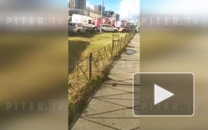 Видео: в Доме связи петербургской подземки на Одоевского произошло короткое замыкание
