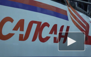 РЖД летом запустит дополнительные "Сапсаны". Изменится стоимость билетов