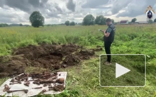 СК планирует изъять часть останков из массового захоронения в Котлах