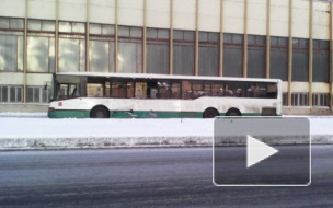 В Купчино столкнулись автобус и маршрутка, 5 человек пострадало
