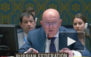 Небензя заявил, что США вместе с их союзниками слепы и глухи к преступлениям Киева