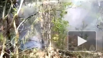 Пожарные локализовали возгорание в лесничествах Ростовской области на площади 169 га