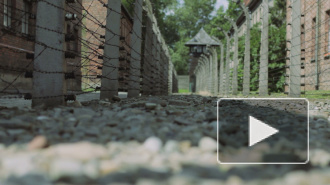 Посольство США приписало освобождение Освенцима американской армии