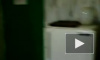 Омичка сняла видео в стиле «Ревизорро» про туалет депобразования