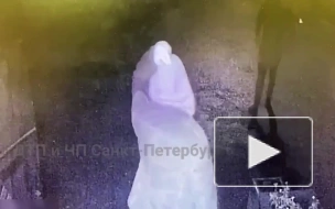 Появилось видео, как в Сестрорецке неизвестный избил прохожего