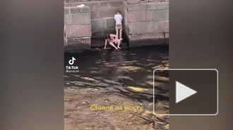 На видео в TikTok попал еще один пловец по рекам летнего Петербурга