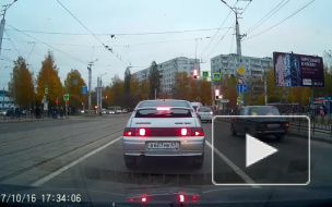 Видео из Смоленска: Из машины на ходу выбросили котенка