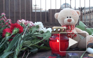 "Живой самолет": на Марсовом поле пройдет акция памяти авиакатастрофы над Синаем