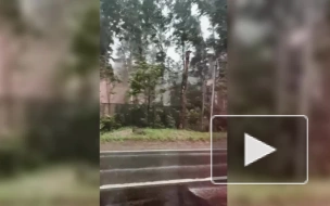 Губернатор Петербурга призвал горожан оставаться дома в ураган