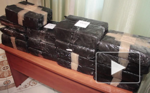 Рукописи Стругацких, спасенные от гибели на Украине, привезли в Санкт-Петербург