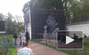 Видео: на площади Александра Невского рисуют новое граффити с Сергеем Бодровым 