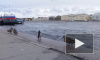 Видео: в Петербурге начал повышаться уровень воды в Неве