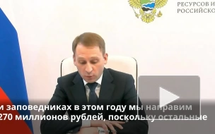 На создание туристических объектов в заповедниках в РФ в 2023 году направят 270 млн рублей