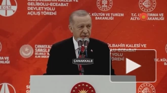 Президент Турции Эрдоган сообщил, что зерновая сделка продлена