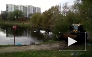 В Ясенево автомобиль с женщиной и ребенком съехал в пруд и затонул