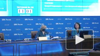 Памфилова допустила перенос единого дня голосования