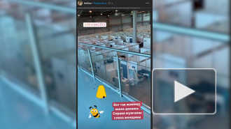 Страх и антисанитария в "Ленэкспо". Петербурженка рассказала об условиях содержания в госпитале
