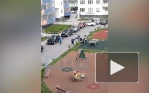 Жителей Мурино напугало представление двух пьяниц-театралов