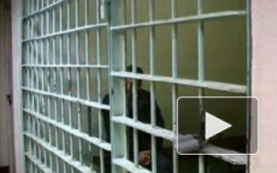 Граждане Таджикистана не смогут въехать в Россию по обычному паспорту — поток мигрантов в Россию снизится?