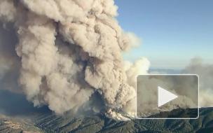 Крупный лесной пожар начался на территории заповедника в Калифорнии
