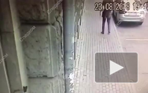 Опубликовано видео нападения на сотрудников полиции в центре Москвы