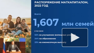 Жители новых регионов получили 70 тыс. сертификатов на маткапитал
