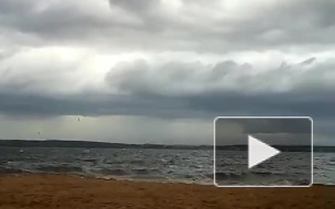 Из Финского залива выловили лысого утопленника