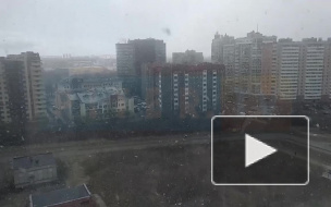 Видео: Петербург по-прежнему заметает снегом в апреле 