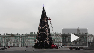 Синоптики рассказали о погоде в новогоднюю ночь в Петербурге