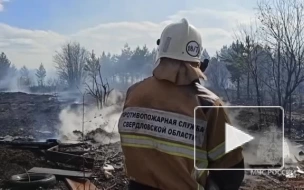 В СНТ в Свердловской области загорелись восемь домов