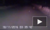 Видео: спортивная лиса пробежалась по улицам города в Челябинской области