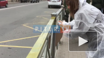 Активисты Петербурга устроили акцию против дорогих заборов