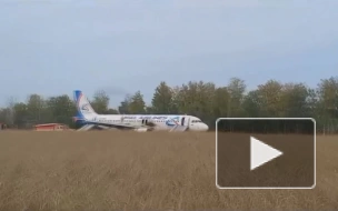 В сети появилось видео самолета, севшего в поле в Новосибирской области