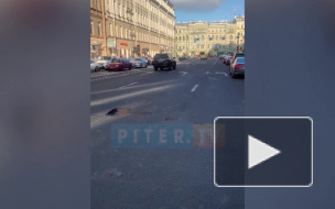 На улице Марата "растаял" асфальт: три автомобиля пробили колеса