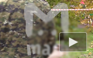 Первые подробности и видео: В Подмосковье убита следователь по особо важным делам Первые подробности и видео: В Подмосковье убита следователь по особо важным делам