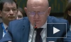 Небензя напомнил в СБ ООН о невозможности военного поражения РФ