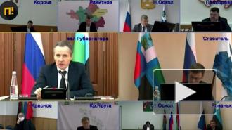 Врио губернатора Белгородской области не смог записаться к себе на прием