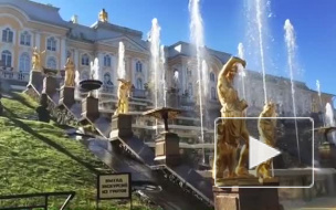 В Петергофе гопники отобрали у профессора СПбГУ 2 миллиона рублей