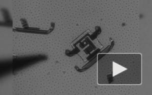 Созданы микророботы, доставляющие лекарства прямо в органы
