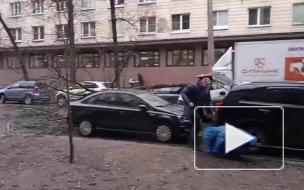 На 14-й линии В.О. дерево упало на автомобиль. Улица перекрыта