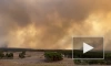 СМИ: в Португалии из-за лесного пожара эвакуировали 1,4 тыс. человек