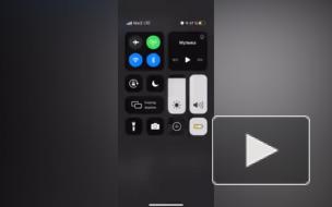 Петербуржцы поспорили, кто виноват в школьном конфликте со словом sosi