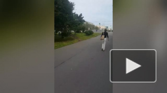 В Купчино наблюдатели устроили погоню за урной для надомного голосования