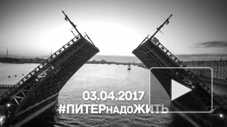 #ПИТЕРнадоЖИТЬ: Звезды российского шоубизнеса записали видеообращение к жителям Санкт-Петербурга