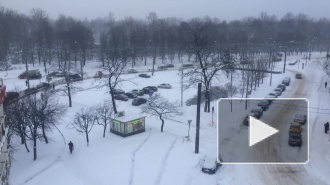 За сутки в Петербурге собрали 4 тысячи самосвалов со снегом