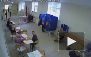 Сотрудница полиции проигнорировала избиение члена избирательной комиссии в Петербурге